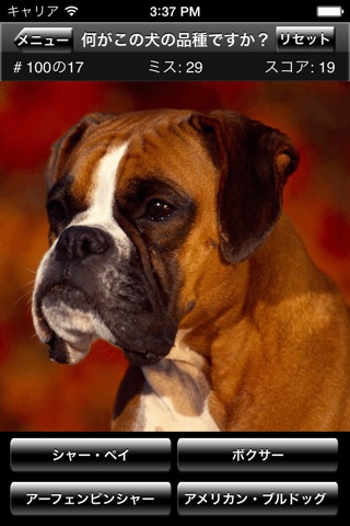 Dog Breed Quiz screenshot 4