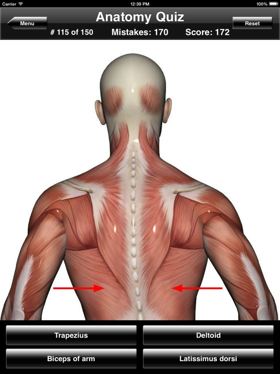 Anatomy Quiz for iPad
