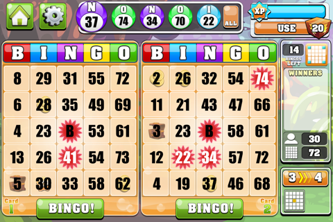 Bingo Casino!!™ screenshot 3