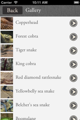 Poisonous Snakes: Deadly Reptiles screenshot 2