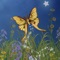 Take a journey through the Hidden Gardens in this beautiful hidden object adventure game