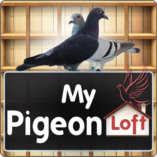 My Pigeon Loft icon