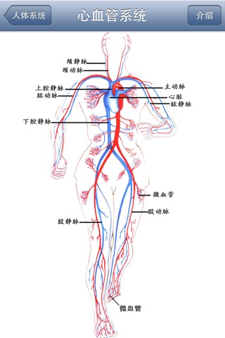 人体系统/结构/部位/奥秘 screenshot 3
