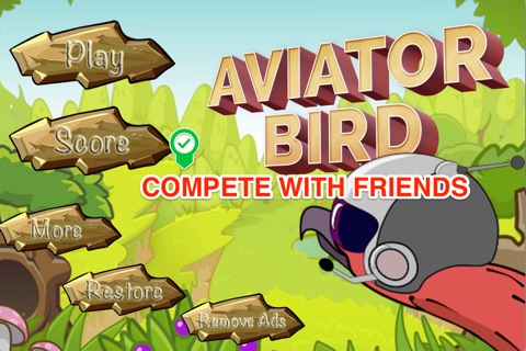 Aviator Bird screenshot 2