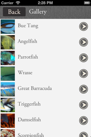 Tropical Fish: Caribbean screenshot 2