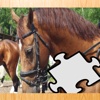 A Ponies Puzzle for Kids and Horse-s Man & Girl-s - Free Interactive Learn-ing Game-s
