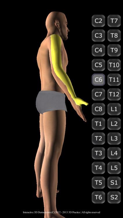 Interactive 3D Dermatomes screenshot-3