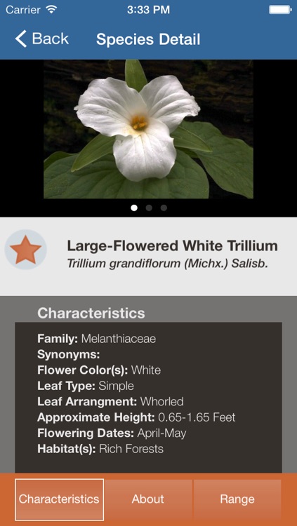 GSM Wildflowers screenshot-3