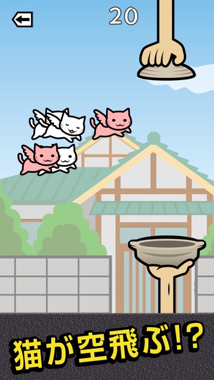 ネコを鍋でバーン!!