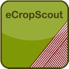 eCropScout