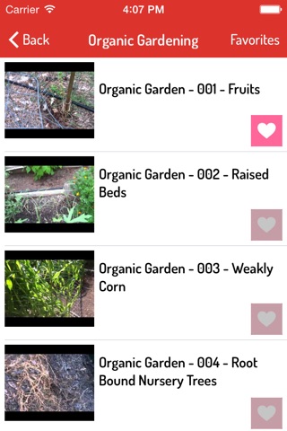 How To Garden - Best Gardening Guide screenshot 2