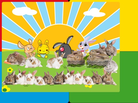 Bunnies & Eggs screenshot 4