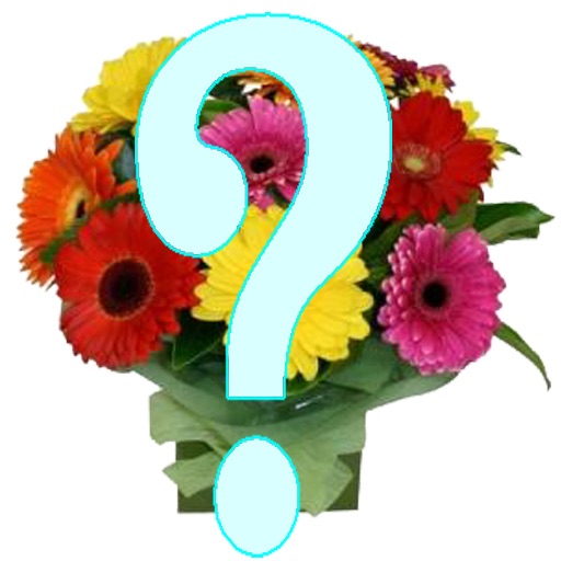 Name_the_Flower icon