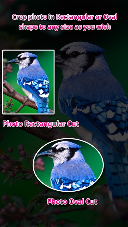 Custom Crop screenshot-3