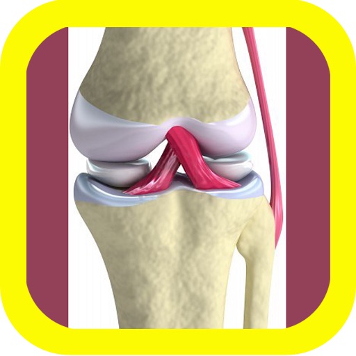VISUAL: Muscle & Skeletal Anatomy icon
