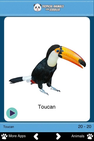 Tropical Animals for Toddler screenshot 3