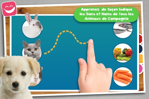 Free Teach me Pets Photo, Learn where the cat sleeps and what the dog eats screenshot 2