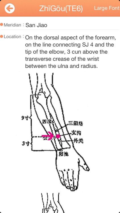 Acupuncture,Acupressure,Meridian - Best seller in china screenshot-3