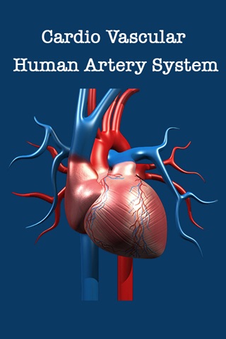 Artery System: CardioVascular