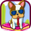 Dog Cake Bouncing Mania - Puppy Bounce Cupcake Jump Pro