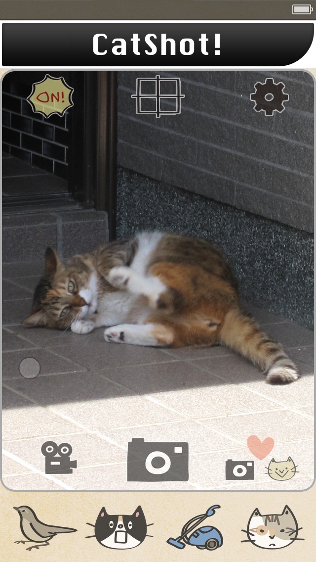 CatShot! Liteのおすすめ画像1