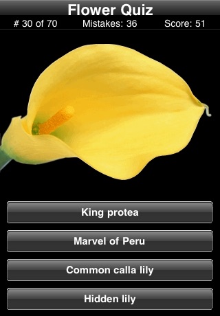 A Flower Quiz screenshot 4