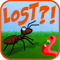 Activities of Lost Antz