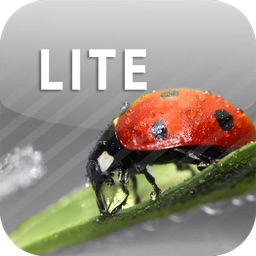 ColorUp Lite - Color Paint Editor