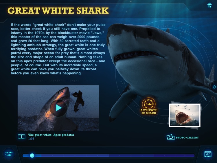 Ultimate Sharks Free screenshot-4