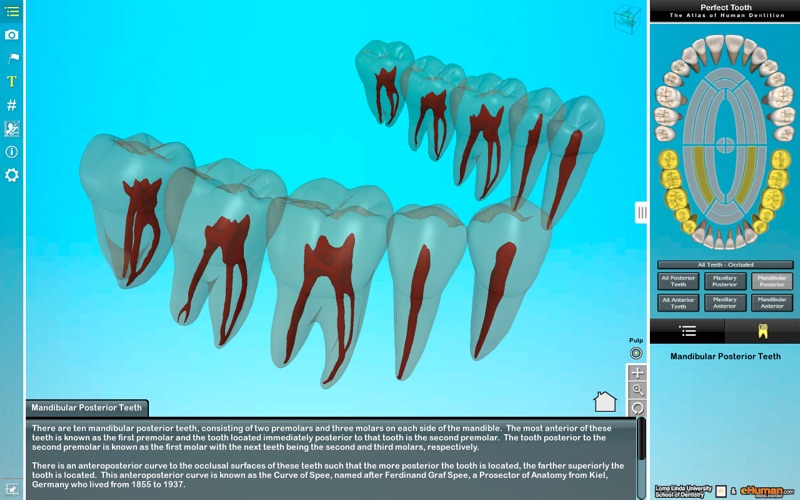 Perfect Tooth thumbnail 2