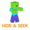 Hide and Seek Game