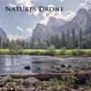 Natures Drone