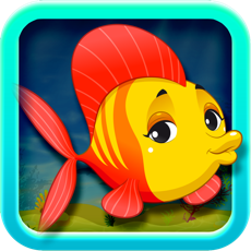 Activities of Jumpy Fish Rider