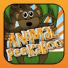 Animal Peekaboo! - Activity Play Center for Kids