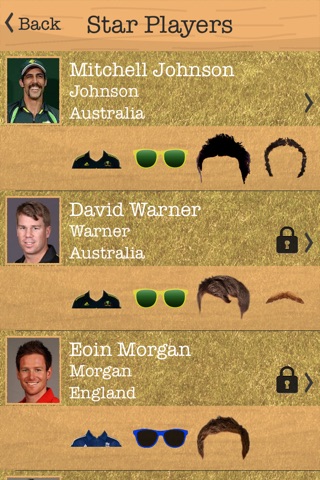 T20 Fever screenshot 3