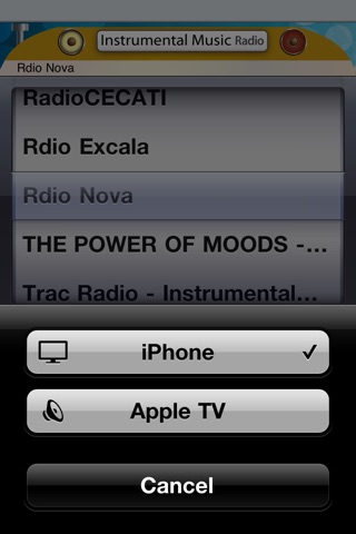 Instrumental Music Radio screenshot 2