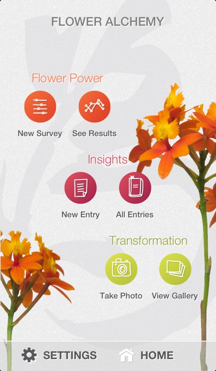 Lotus Wei screenshot-3