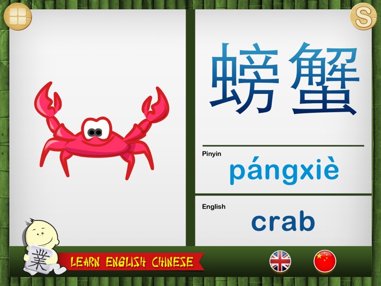 Learn English Chinese HD