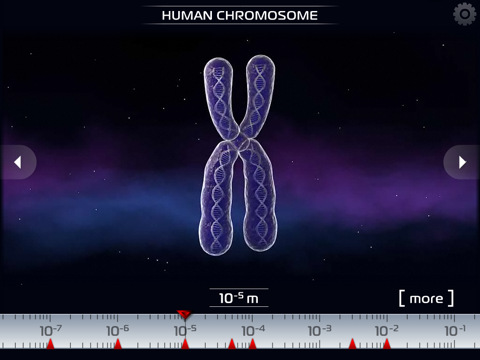 Science - Microcosmos 3D HD Free : Bacteria, viruses, atoms, molecules and particles screenshot 2