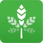 Rate My Weed - The First Ever Marijuana Recognition Software