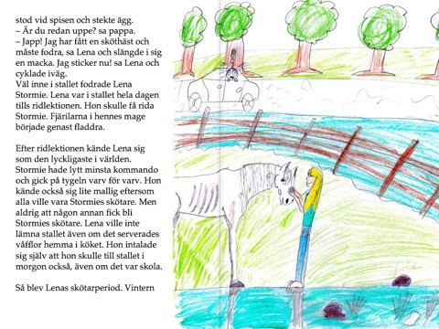 skärmavbild 2