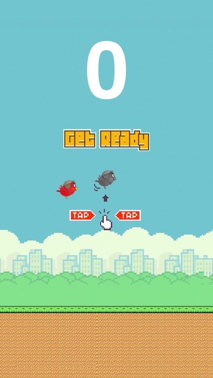 Flap Birdi