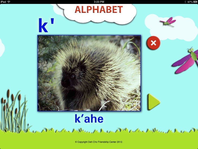 Gudeh: We are Speaking Dene Zhatie ( South Slavey)