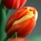This application is simplest Voicemail system