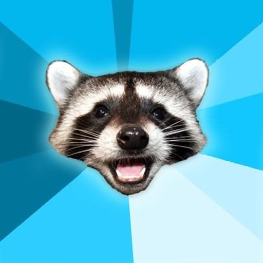 Lame Pun Raccoon icon