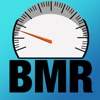 The BMR Calculator