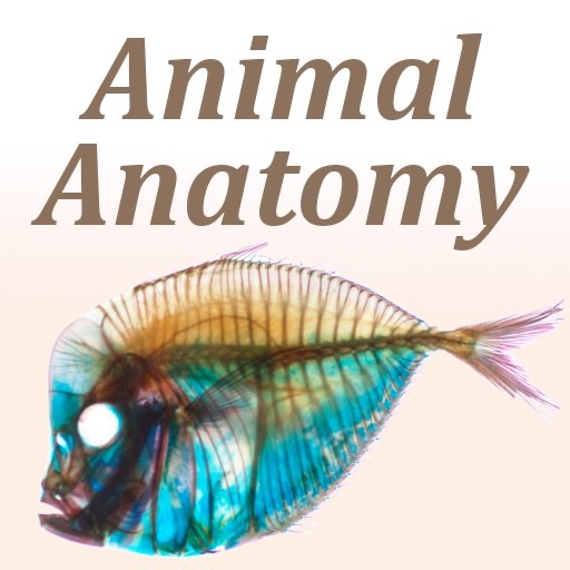 Animal Anatomy icon