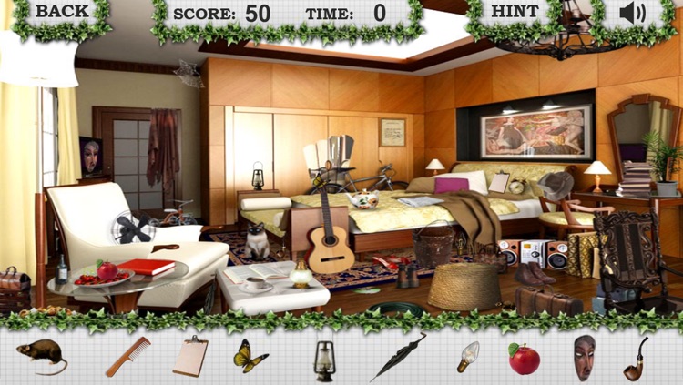 Hidden Objects Your House