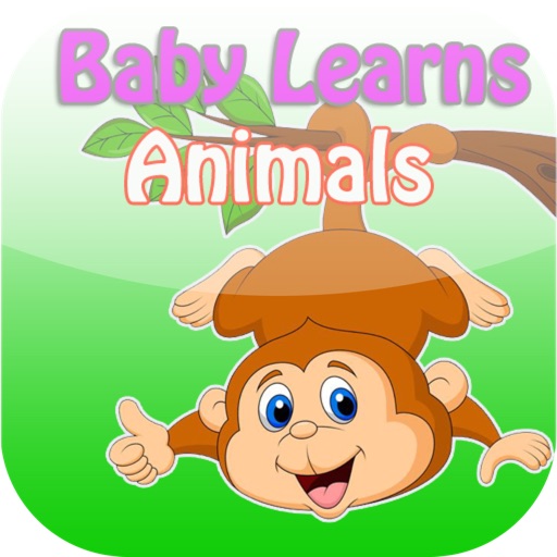 Picture Vocabulary For Kids Free iOS App