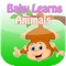 Picture Vocabulary For Kids Free